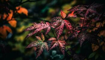 vibrante outono folhagem em bordo árvore, beleza dentro natureza cores gerado de ai foto