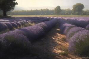 lavanda campo, criada com generativo ai foto