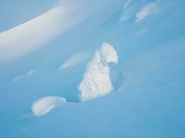 azul minimalista fundo com uma coberto de neve solitário árvore em uma montanha declive. mágico bizarro silhueta do árvore estão gesso com neve. ártico severo natureza. foto