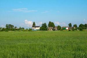 uma Largo aberto campo com verde Relva em uma verão dia com uma Claro azul céu e uma Vila em a horizonte foto