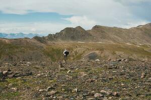 fácil escalada em uma rochoso montanha declive. só caminhada dentro a montanhas. viagem fotógrafo estilo de vida, caminhada Difícil acompanhar, aventura conceito dentro verão período de férias. foto