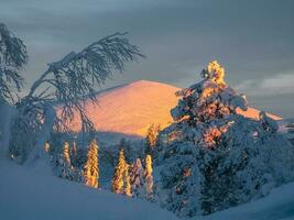 lindo ensolarado polar montanha com Sombrio tarde céu. cobre colina. pôr do sol dentro a inverno montanhas. foto