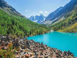 surpreendente Claro montanha lago dentro floresta entre abeto árvores dentro luz do sol. brilhante cenário com lindo turquesa lago contra a fundo do coberto de neve montanhas. mais baixo shavlin lago foto