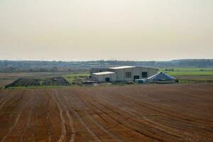 moderno Fazenda localizado dentro uma santo Petersburgo polder. isto é uma ensolarado verão tarde. estábulo dentro a campo. foto