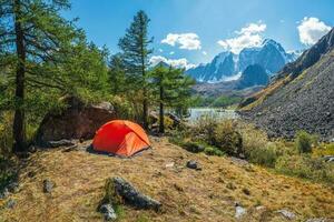 turismo conceito. solitário barraca dentro a montanha floresta. laranja acampamento barraca em a costa dentro a luz solar. foto