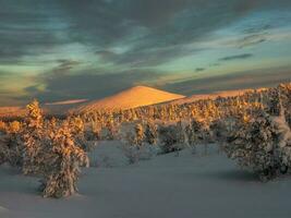 cobre colina. lindo ensolarado polar montanha com Sombrio tarde céu. pôr do sol dentro a inverno montanhas do khibiny, cola Península, Rússia. foto