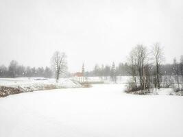 Nevado inverno Visão do a velho Palácio dentro a montes de neve. gatchina. Rússia foto