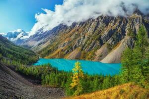 surpreendente Claro montanha lago dentro floresta entre abeto árvores dentro luz do sol. mais baixo shavlinskoye lago, shavlinsky santuário, república do altai, Rússia foto