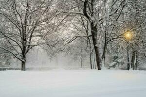 nevasca dentro a tarde inverno parque. iluminado cidade parque às tarde. coberto de neve árvores depois de uma nevasca. Sombrio atmosférico inverno paisagem urbana. turismo, lazer, Natal, Férias, centro da cidade. foto