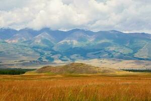 vendo plataforma dentro a kurai estepe dentro altai. dramático chuvoso alpino panorama dentro verde vale e montanha farelos dentro baixo nuvens. atmosférico impressionante Visão para pontudo montanha dentro baixo nuvens. foto