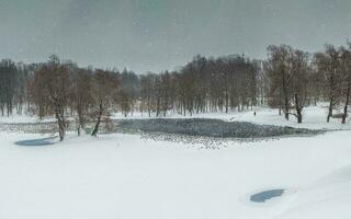 inverno lago com padrões em a neve cobrir do a água e grande quantidade do vôo gaivotas dentro a cidade parque em uma Nevado dia. Estado museu reserva gatchina.. Rússia. foto