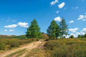 caminho para a distância, caminho sobre a Colina para a céu. sujeira estrada através a campo. atmosférico montanha cenário com comprimento estrada entre colinas. azul céu com outono montanha e pé caminho através abeto árvores foto