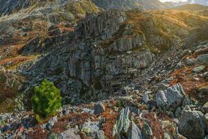 espalhamento do pedras, granito Rocha. rochoso montanha declive, caótico montanha panorama. foto