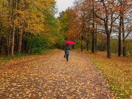 uma mulher com uma vermelho guarda-chuva anda em através a outono parque sozinho. foto