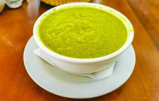 sopa de creme vegetal verde em puerto escondido méxico. foto