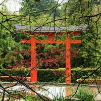 decorativo japonês estilo portões dentro a parque, arboreto sochi Rússia. fundo árvore galhos com jovem Primavera folhagem dentro a chuva. a paisagem, tropical clima foto