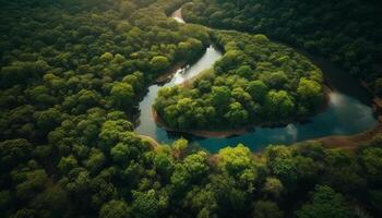 verde folhas refletir em tranquilo da lagoa superfície gerado de ai foto