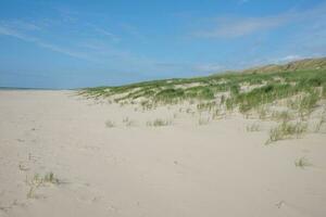 dunas de areia na praia foto