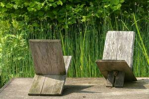 dois de madeira cadeira dentro jardim foto