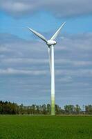 turbina eólica no vento foto