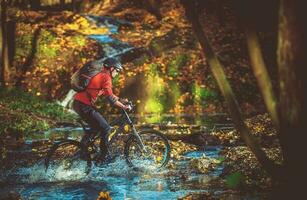 bicicleta passeio dentro a floresta foto