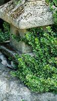 jardim decorações fez do pedras e pedra esculturas entre agradável verdes. foto