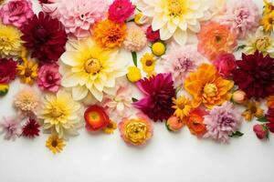 colorida flores composição em branco fundo foto