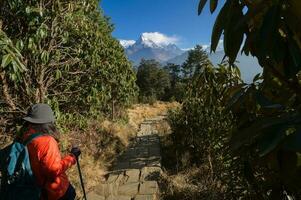 uma jovem viajante caminhada em floresta trilha , Nepal foto