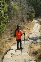 uma jovem viajante caminhada em floresta trilha , Nepal foto