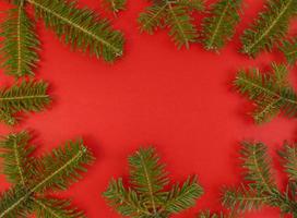 Natal plano deitado com moldura de galhos de árvore de abeto em um fundo vermelho e espaço de cópia dentro do banco de imagens