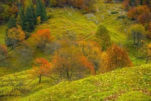 cores de outono nas colinas