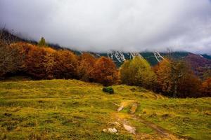 nuvens e folhagens foto