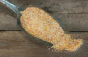 quebrado milho grãos para animal alimentação para venda dentro forragem foto