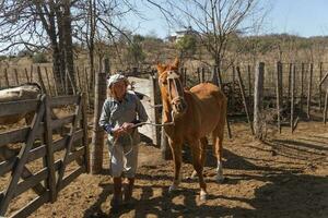 rural mulher trabalhando dentro a campo conduzindo cavalo foto