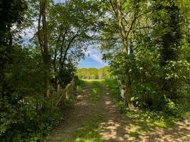 embarcar em uma sereno viagem através uma arenoso caminho, guiado de uma rústico cerca, Como você imergir você mesmo dentro a feliz harmonia do da natureza abraço foto