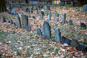 uma boston cemitério foto