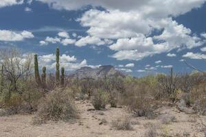 montanhas sob um céu nublado e azul no deserto da baja califórnia sur méxico foto