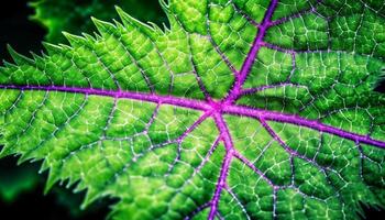 vibrante outono vegetal fractal com Rosa veia simetria e forma gerado de ai foto