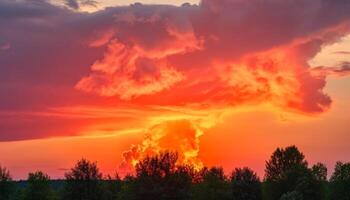 vibrante céu silhuetas tranquilo árvore às dramático nascer do sol sobre horizonte gerado de ai foto