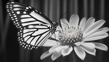 frágil beleza dentro natureza fechar acima do borboleta em solteiro flor gerado de ai foto