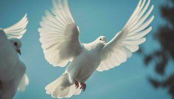 a gaivota espalhar asas simbolizar liberdade e espiritualidade dentro natureza gerado de ai foto
