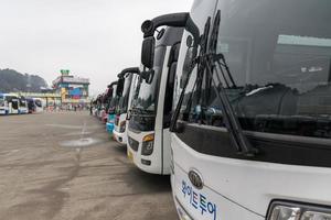 gangwon-do, coreia 2016 - ônibus trazem turistas para a ilha da república de naminara foto