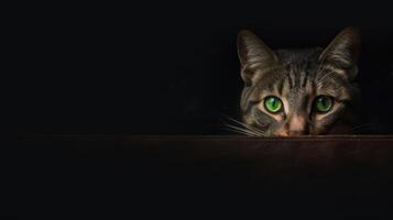 gato isolado dentro uma Sombrio quarto com verde croma Está piercing olhos brilhando dentro a Trevas evocando uma sentido do mistério e intriga ai gerado foto