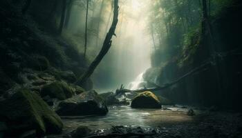 mistério dentro natureza nebuloso floresta aventura espera gerado de ai foto