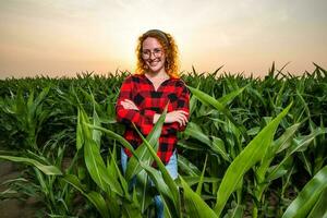 retrato do fêmea agricultor quem é cultivar milho. ela é satisfeito com Boa progresso do plantas. agrícola ocupação. foto