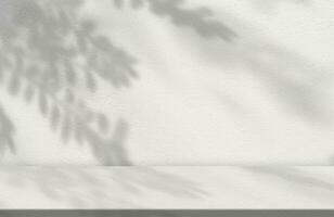 concreto parede textura com folhas sombra sobreposição em branco plano de fundo, vazio cinzento estúdio fundo com raio de Sol em chão, pano de fundo bandeira para Cosmético produtos exibição, maquete beleza apresentação foto