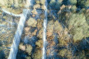 aéreo Visão do uma país estrada cruzando uma floresta coberto dentro geada foto