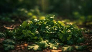 fresco verde folhas crescer em floresta árvores gerado de ai foto