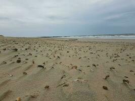 cartuchos e pedras a de praia às a norte mar dentro blavand Dinamarca foto
