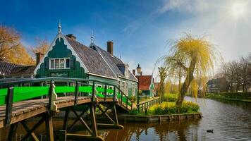 Países Baixos colorida país do moinhos de vento e tulipas flores foto